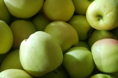 IMG-8348